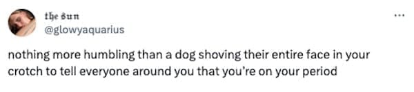 Women memes nothing more humbling than a dog shoving their entire face in your crotch to tell everyone around you that you're on your period