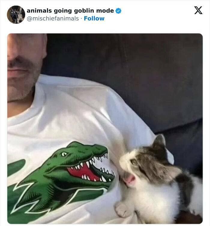 animal memes, funny animal pics, creature comedy, critter memes, wildlife humor