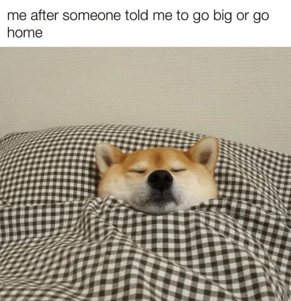 animal memes, funny animal jokes, pet humor, wildlife memes, creature comedy, furry funnies, zoological humor