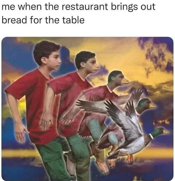 animal memes, funny animal jokes, pet humor, wildlife memes, creature comedy, furry funnies, zoological humor