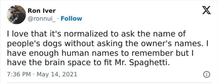 Antisocial Memes I love that it's normalized to ask the name of people's dogs without asking the owner's names. I have enough human names to remember but I have the brain space to fit Mr. Spaghetti.