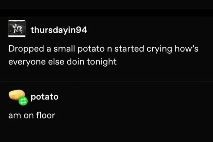 Antisocial Memes Dropped a small potato n started crying how's everyone else doin tonight. potato am on floor