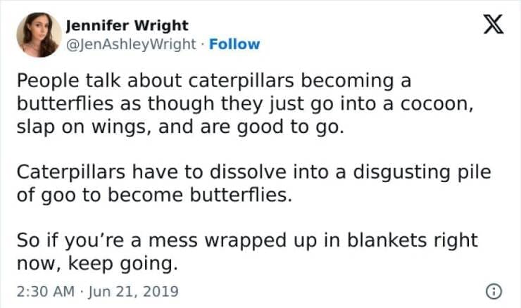 Antisocial Memes People talk about caterpillars becoming a butterflies as though they just go into a cocoon, slap on wings, and are good to go. Caterpillars have to dissolve into a disgusting pile of goo to become butterflies. So if you're a mess wrapped up in blankets right now, keep going.