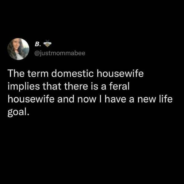 Antisocial Memes The term domestic housewife implies that there is a feral housewife and now I have a new life goal.