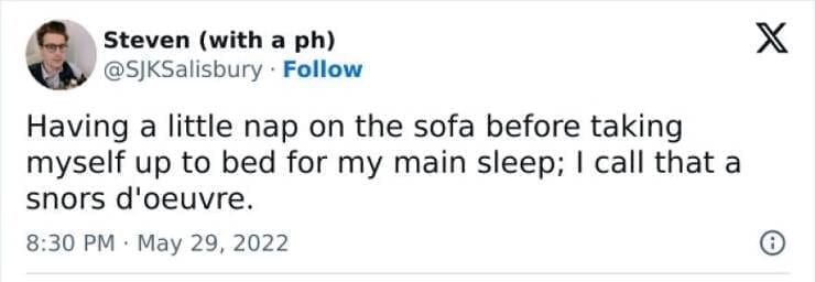 Antisocial Memes Having a little nap on the sofa before taking myself up to bed for my main sleep; I call that a snors d'oeuvre.