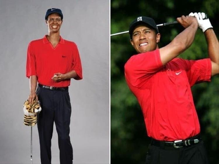 tiger woods bad wax figure
