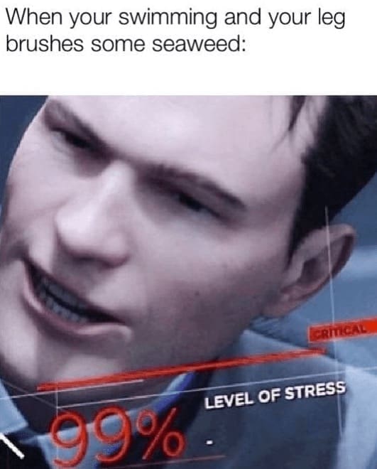 Beach Memes When your swimming and your leg brushes some seaweed: