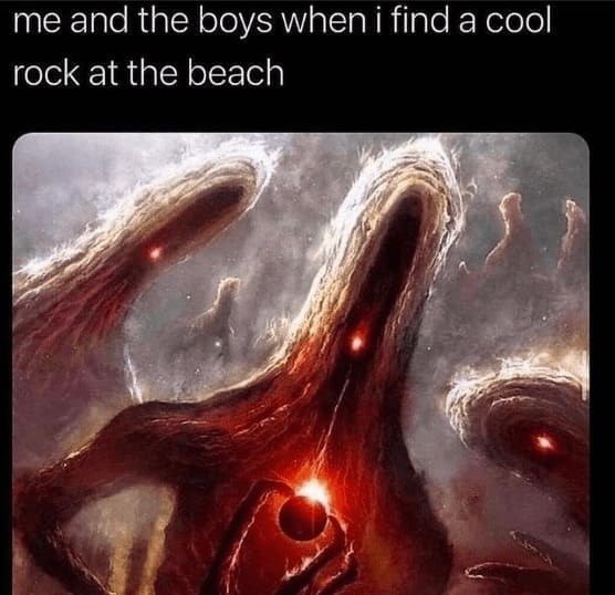 Beach Memes me and the boys when i find a cool rock at the beach