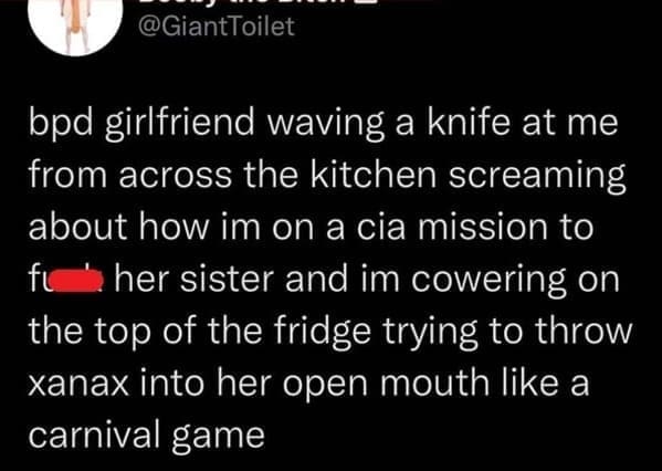 bpd girlfriend waving a knife at me from across the kitchen screaming about how im on a cia mission to fi her sister and im cowering on the top of the fridge trying to throw xanax into her open mouth like a carnival game