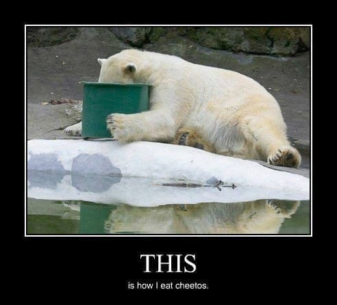 Cheeto Meme THIS is how I eat cheetos.