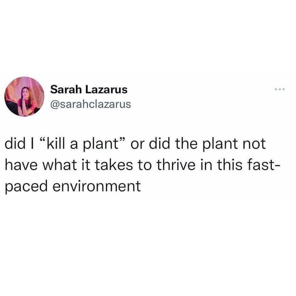 classic memes, vintage memes, internet classics, iconic humor, viral memes, iconic internet humor, timeless jokes