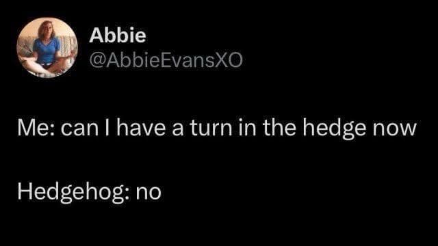 classic memes, vintage memes, best memes, old memes, internet humor, viral images, meme history, timeless jokes, iconic tweets, viral humor