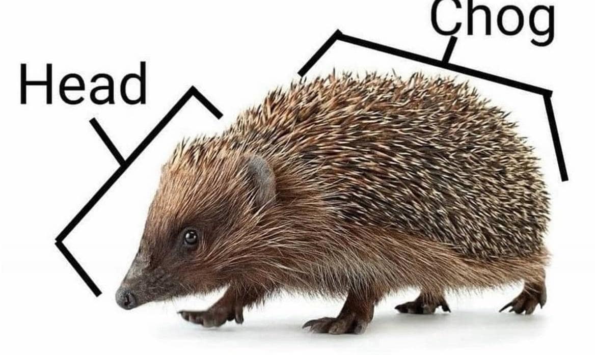 classic memes, vintage memes, best memes, old memes, internet humor, viral images, meme history, timeless jokes, iconic tweets, viral humor