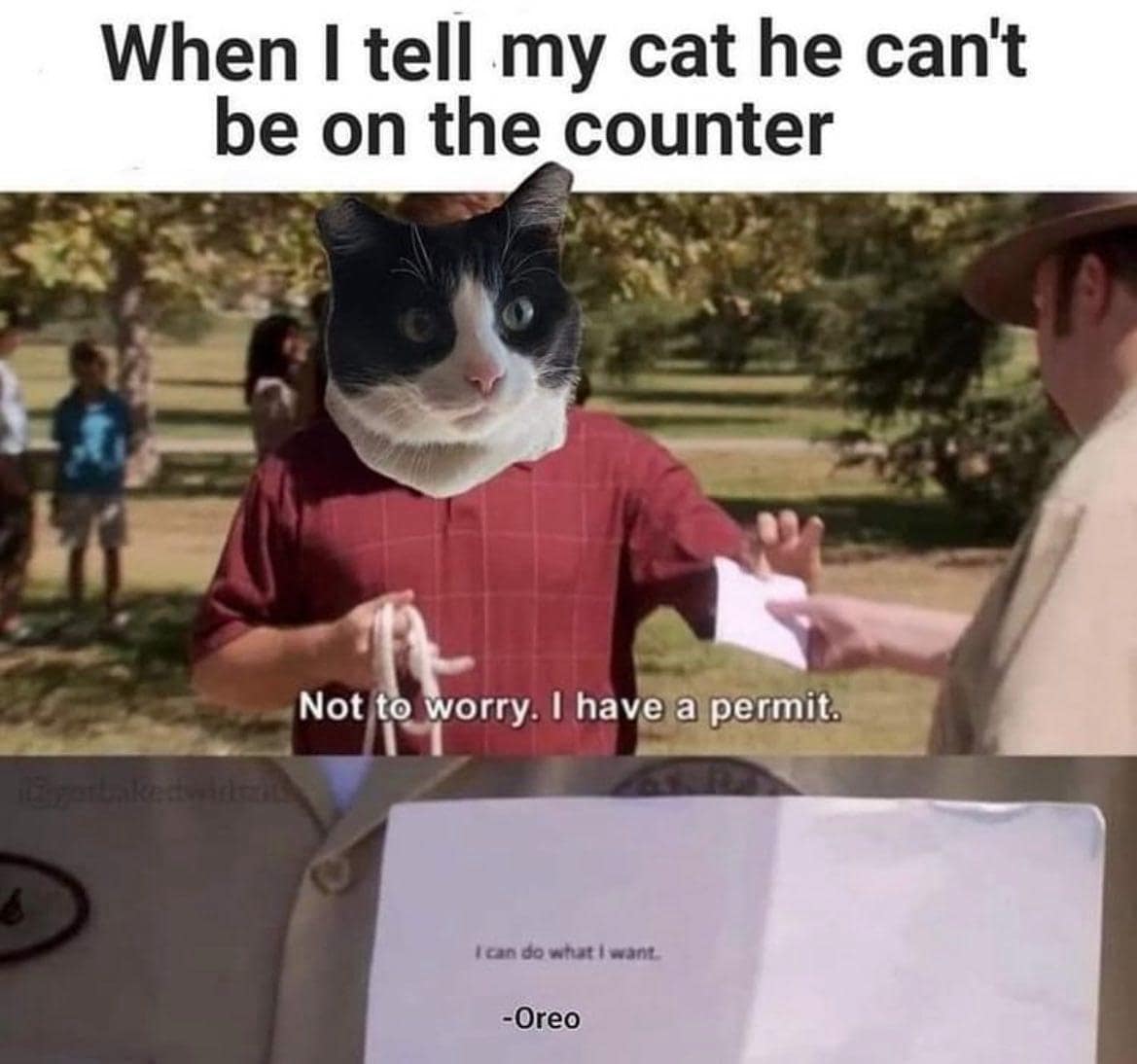 classic memes, vintage memes