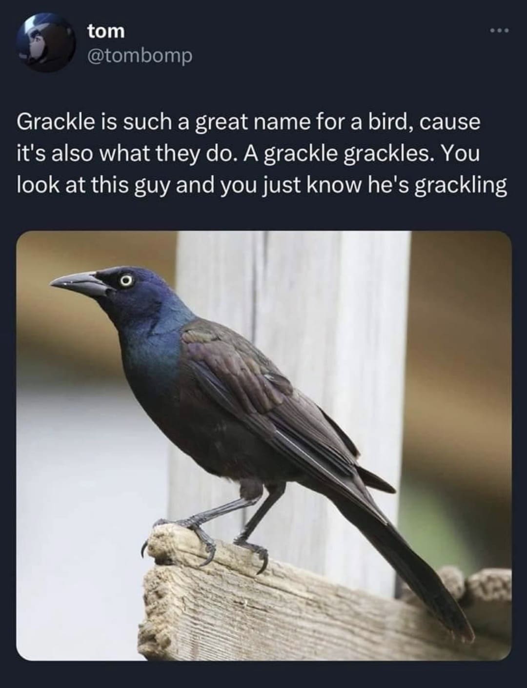 classic memes, vintage memes, old memes, best memes, timeless memes, vintage laughs, retro humor, viral humor, internet nostalgia, meme history