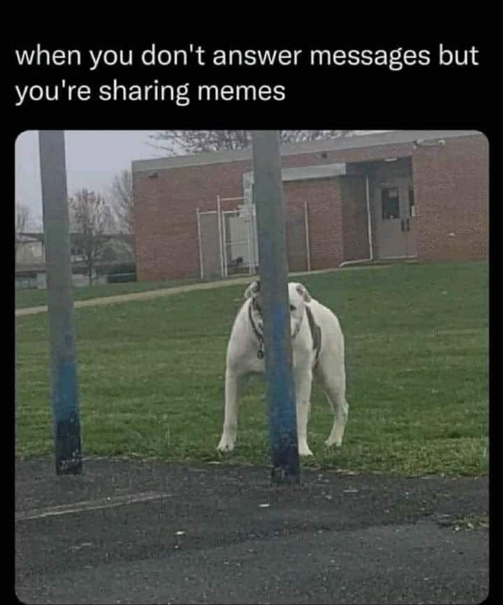 classic memes, vintage memes