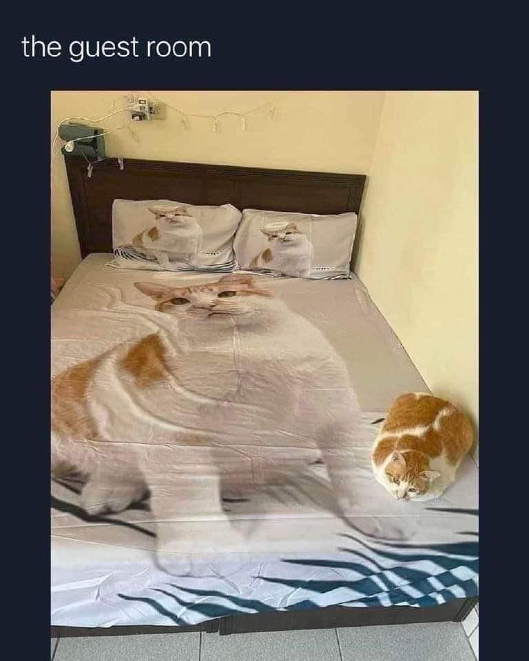 classic memes, vintage memes, old memes, best memes, timeless memes, vintage laughs, retro humor, viral humor, internet nostalgia, meme history