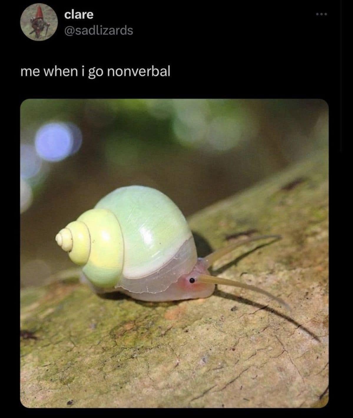 classic memes, vintage memes, best memes, old memes