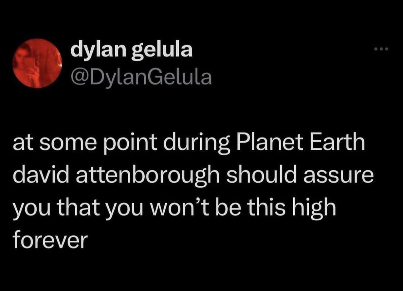 classic memes, vintage memes, old memes, best memes, timeless memes, vintage laughs, retro humor, viral humor, internet nostalgia, meme history