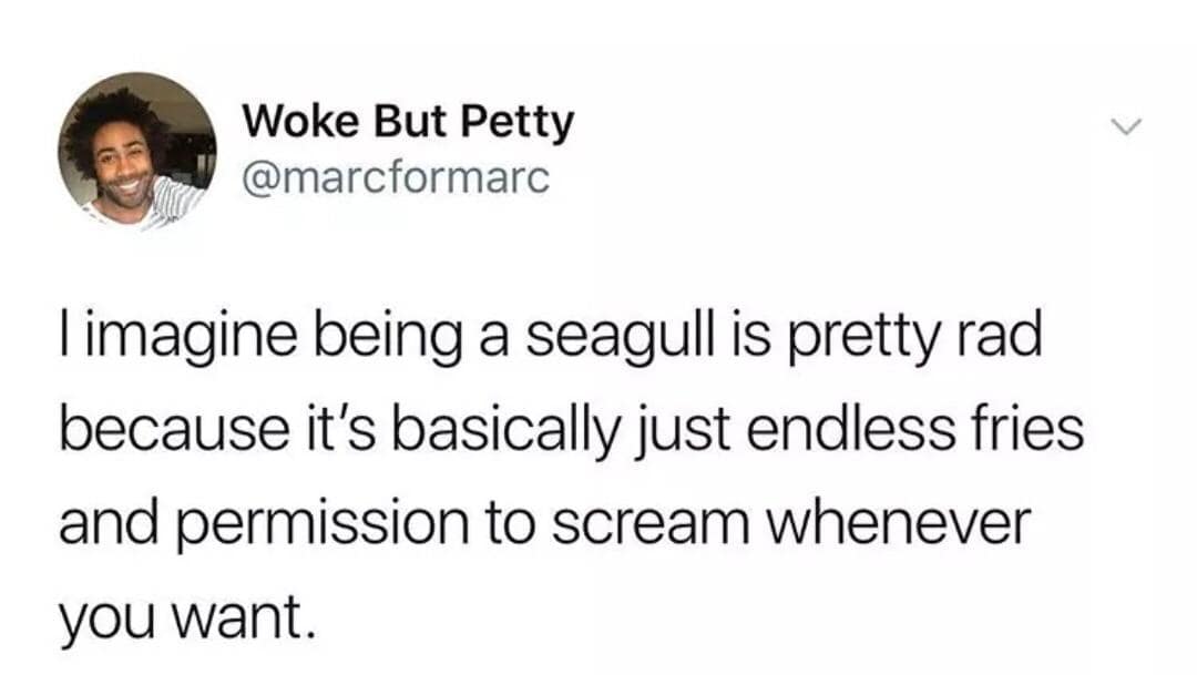 classic memes, vintage memes