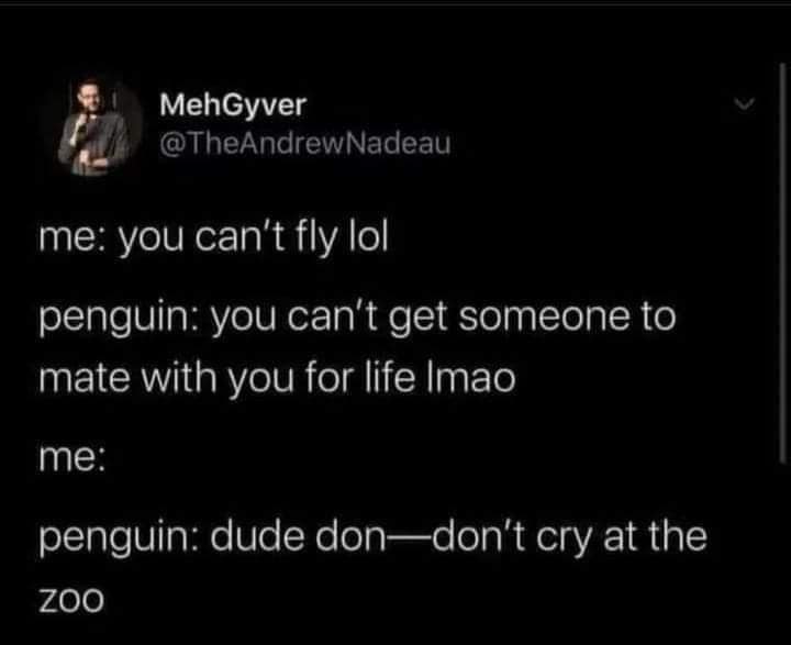 classic memes, vintage memes, best memes, old memes