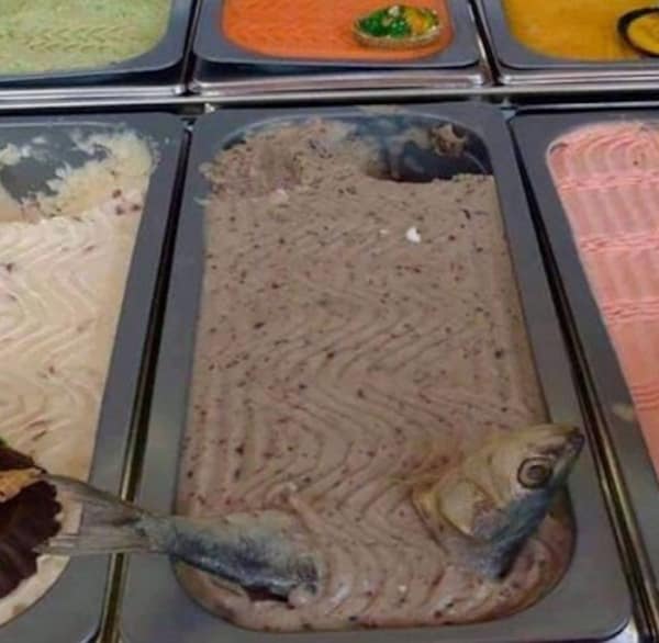 cursed images, weird and bizarre, unsettling sights, creepy coincidences, haunted images, eerie occurrences, macabre sightings