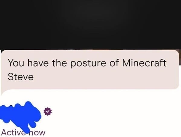 Dating App Fails You have the posture of Minecraft Steve