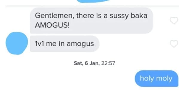 Gentlemen, there is a sussy baka AMOGUS!