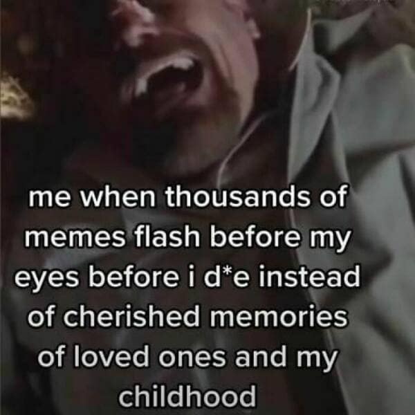 me when thousands of memes flash before my eyes before i d*e instead of cherished memories of loved ones and my childhood