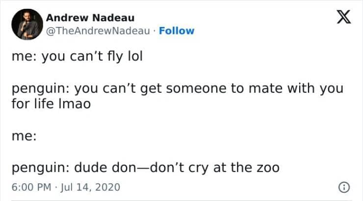 me: you can't fly lol penguin: you can't get someone to mate with you for life Imao me: penguin: dude don-don't cry at the zoo