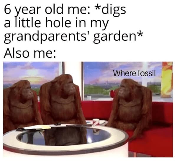 dinosaur memes, dinosaur jokes, dino memes, dinosaur comedy, ancient memes, Jurassic jests