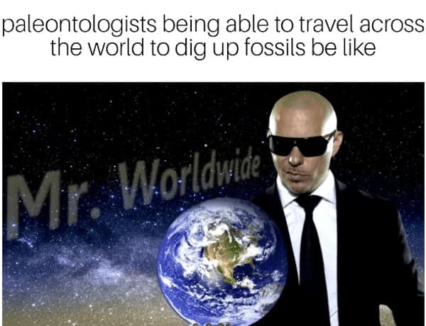 dinosaur memes, dinosaur jokes, dino memes, dinosaur comedy, ancient memes, Jurassic jests