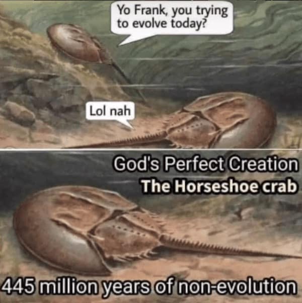 dinosaur memes, dinosaur jokes, dino memes, dinosaur comedy, ancient memes, Jurassic jests