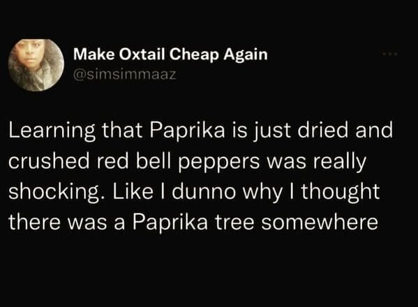 Dumb Memes Learning that Paprika is just dried and crushed red bell peppers was really shocking. Like I dunno why I thought there was a Paprika tree somewhere