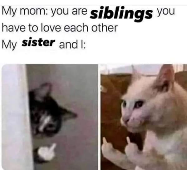 Dumb Memes My mom: you are siblings you have to love each other My sister and l: