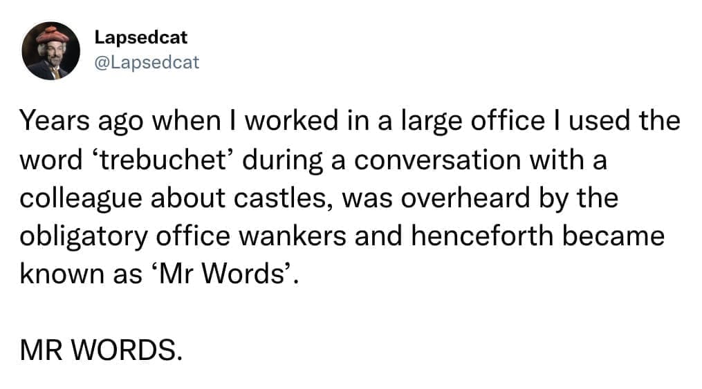 Years ago when I worked in a large office I used the word 'trebuchet' during a conversation with a colleague about castles, was overheard by the obligatory office wankers and henceforth became known as 'Mr Words'. MR WORDS.