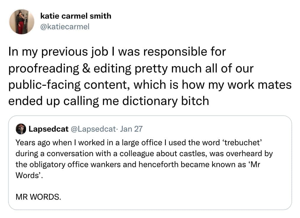 In my previous job I was responsible for proofreading & editing pretty much all of our public-facing content, which is how my work mates ended up calling me dictionary bitch