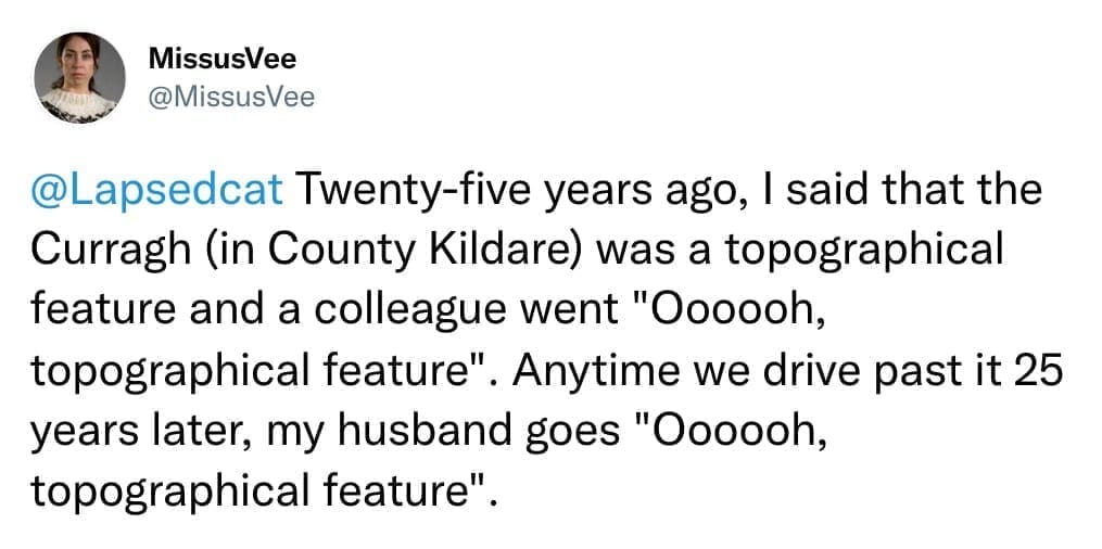 Twenty-five years ago, I said that the Curragh (in County Kildare) was a topographical feature and a colleague went "Oooooh, topographical feature". Anytime we drive past it 25 years later, my husband goes "Oooooh, topographical feature".