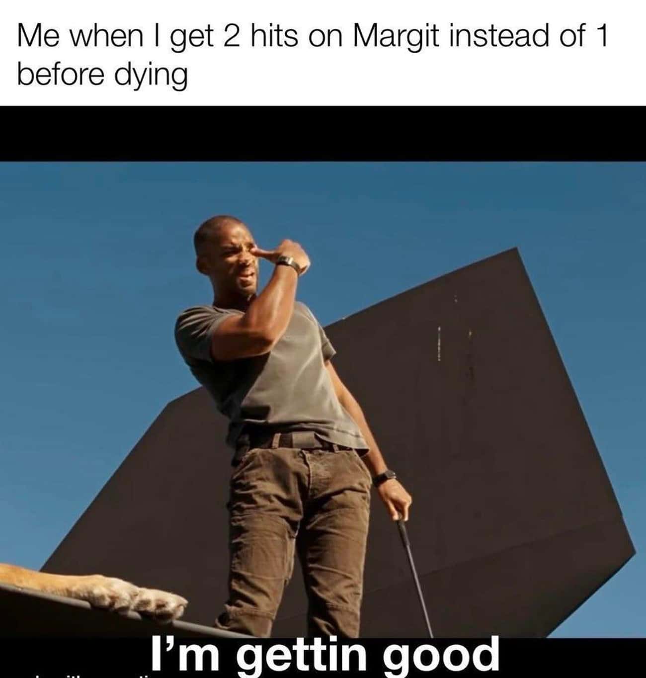 elden ring meme, elden ring memes, elden ring, elden ring shadow of the erdtree, shadow of the erdtree, elden ring DLC, elden ring DLC announcement