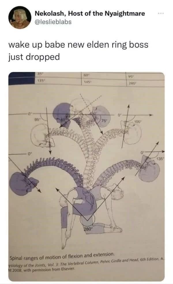 elden ring meme, elden ring memes, elden ring, elden ring shadow of the erdtree, shadow of the erdtree, elden ring DLC, elden ring DLC announcement