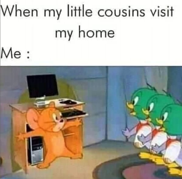 Family memes When my little cousins visit my home Me :