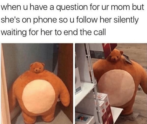Family memes when u have a question for ur mom but she's on phone so u follow her silently waiting for her to end the call