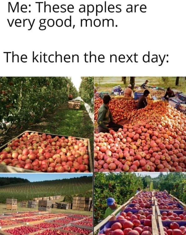 Family memes Me: These apples are very good, mom. The kitchen the next day: