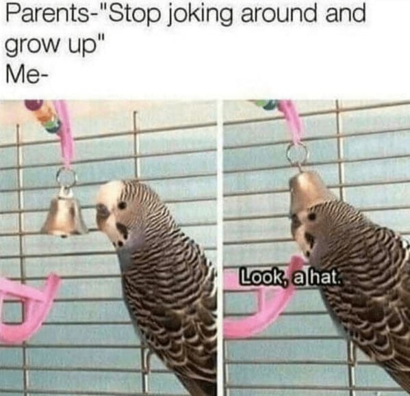 Family memes Parents-"Stop joking around and grow up" Me- Look, a hat.