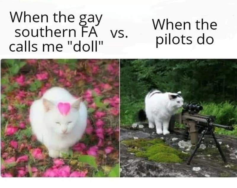 When the gay southern FA VS. calls me "doll" When the pilots do