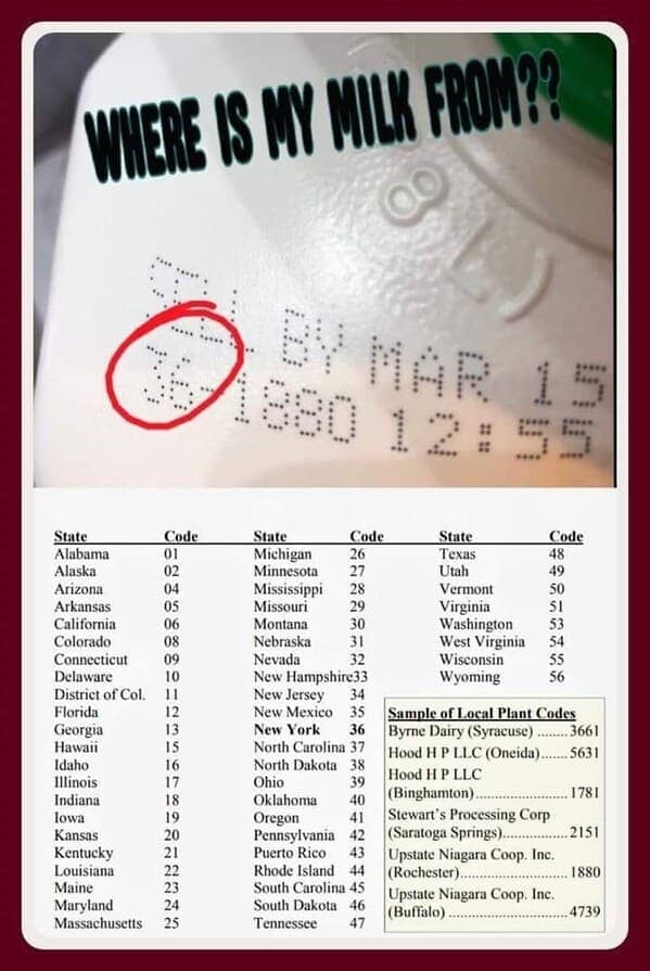 food chart, cooking infographic
