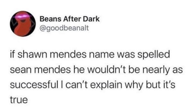 @goodbeanalt if shawn mendes name was spelled sean mendes he wouldn't be nearly as successful I can't explain why but it's true