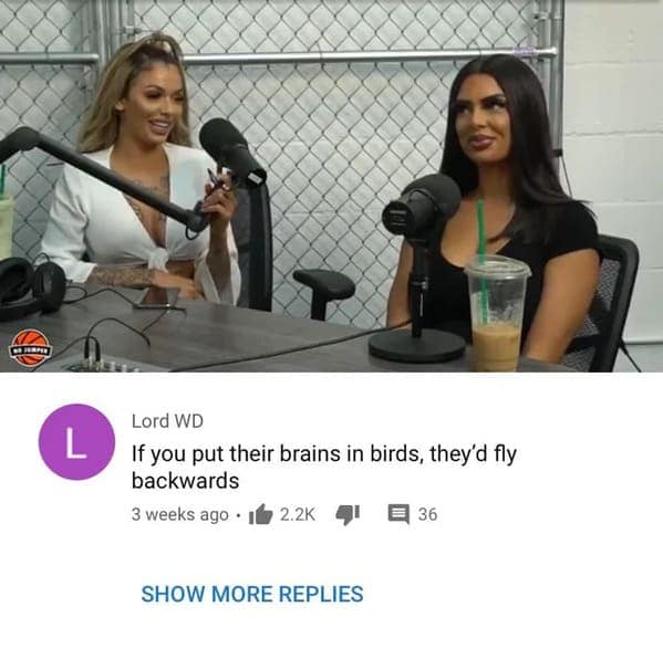 funny insults, savage memes