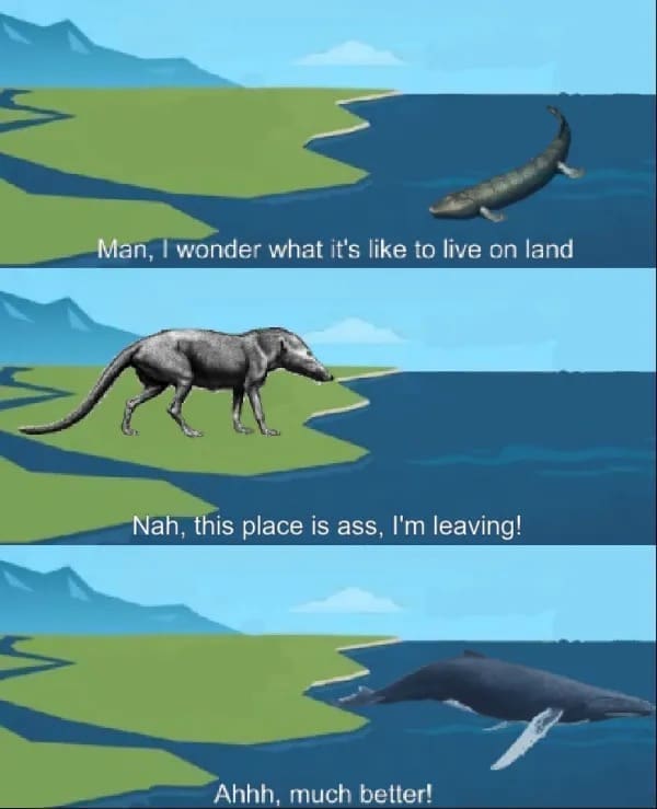 funny meme Man, I wonder what it's like to live on land Nah, this place is ass, I'm leaving! Ahhh, much better!