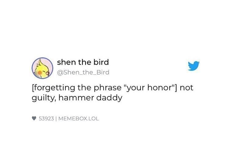 funny memes [forgetting the phrase "your honor"] not guilty, hammer daddy